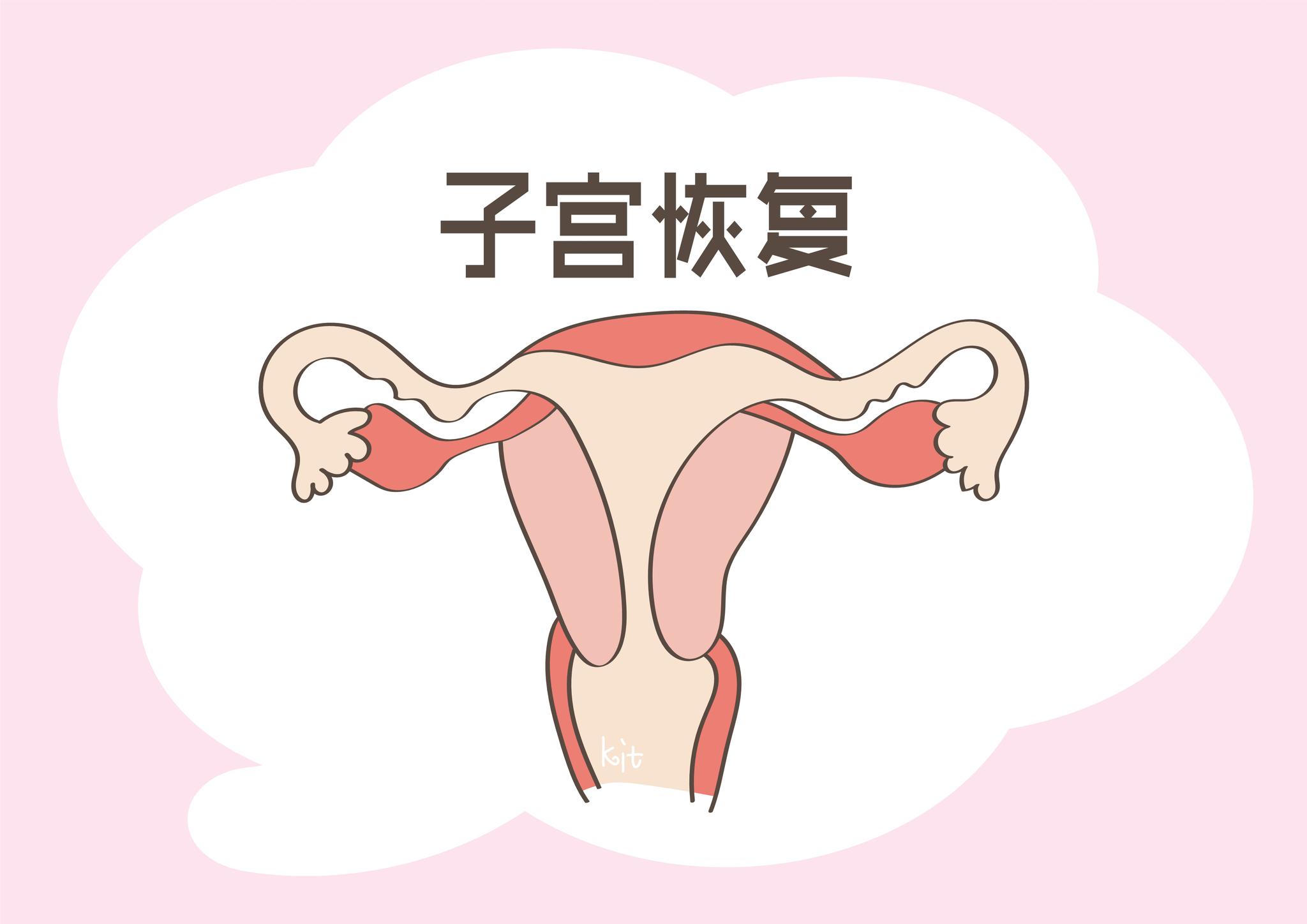 月子|子宫|身体_新浪新闻