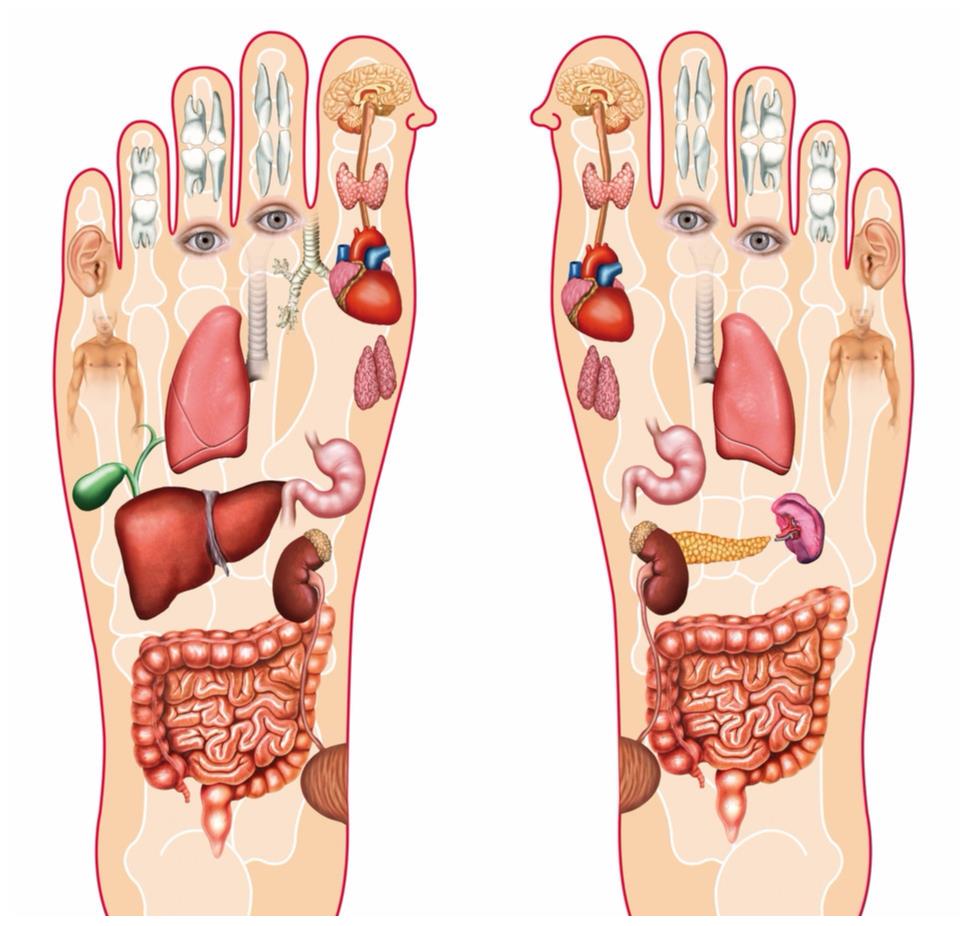 脚底长痣是吉相你脚底有痣吗