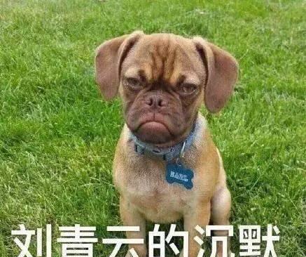 开心一笑:我不记得我读初中时,nv孩子有没有这么成熟的