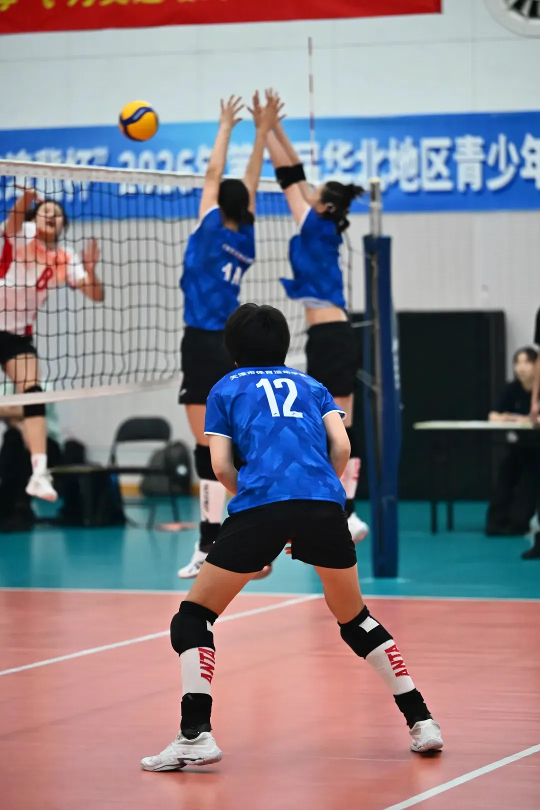 女排比赛视频下载