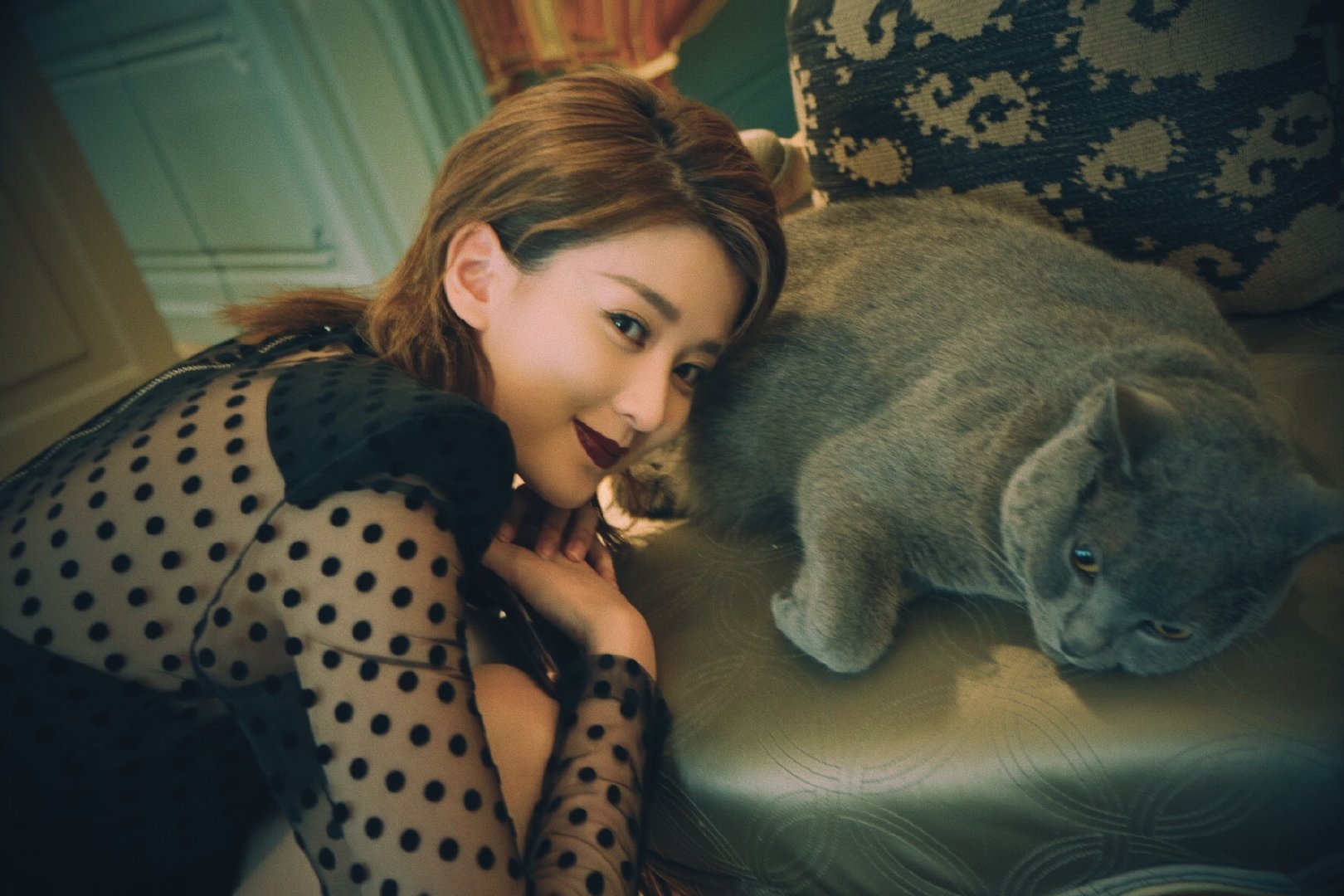 乔欣终于放开了搭配透视连衣裙美得不敢认