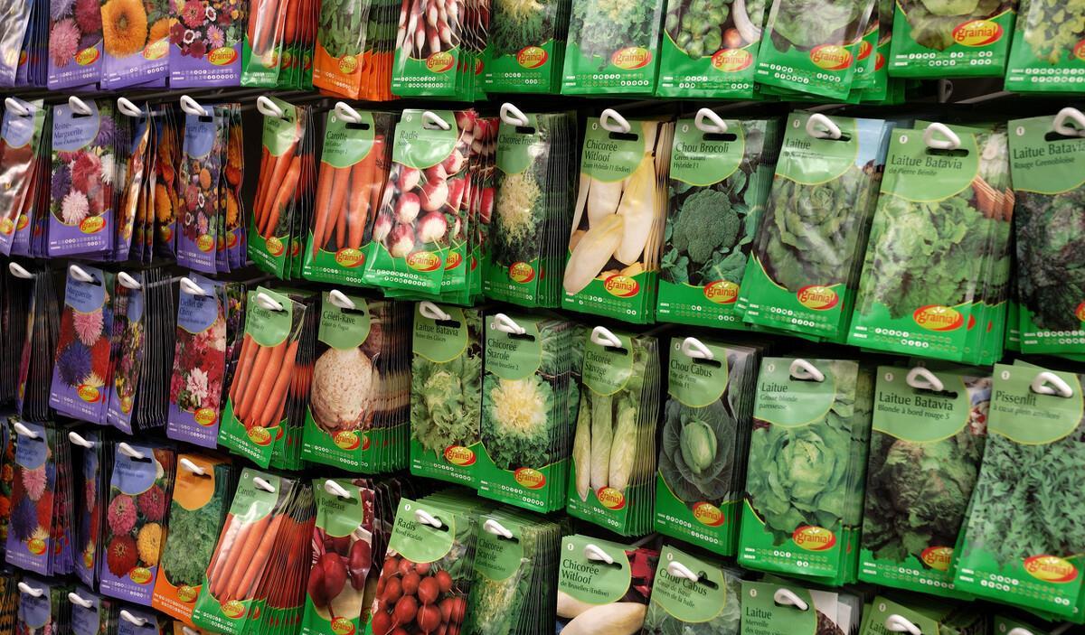 蔬菜种子购买攻略