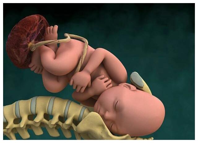 怀孕38周胎儿是否足月?快到预产期了,准妈妈需要注意这3点