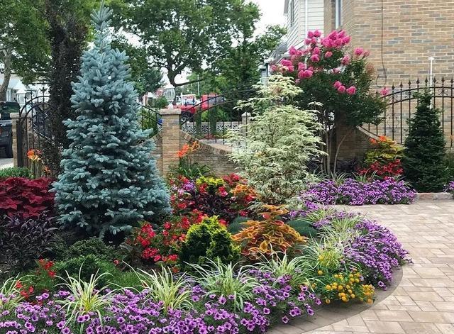 7款花境设计案例季相分明色彩缤纷