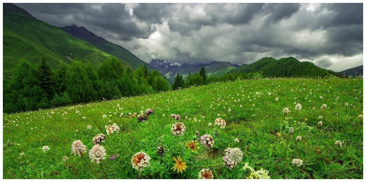 城府极深，喜欢算计别人，最不能惹的三大星座！休闲区蓝鸢梦想 - Www.slyday.coM