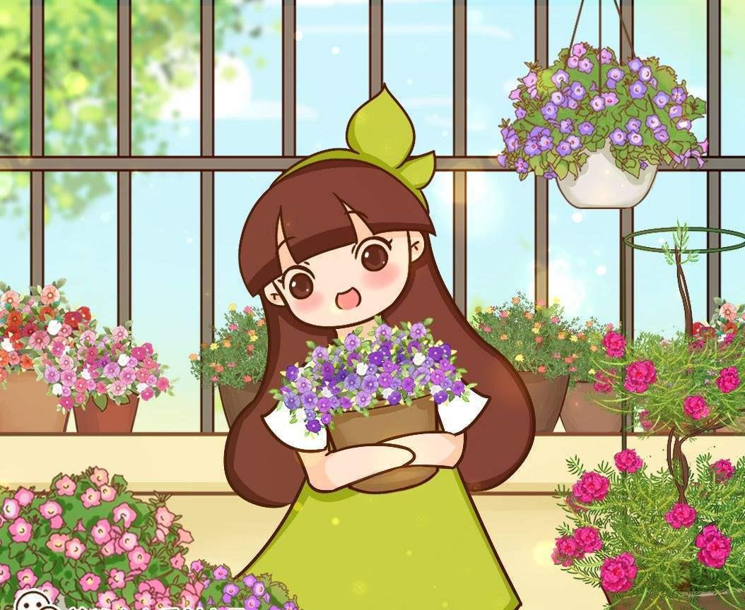 超级好看的满天星,记住这5点,开花多到数不清!