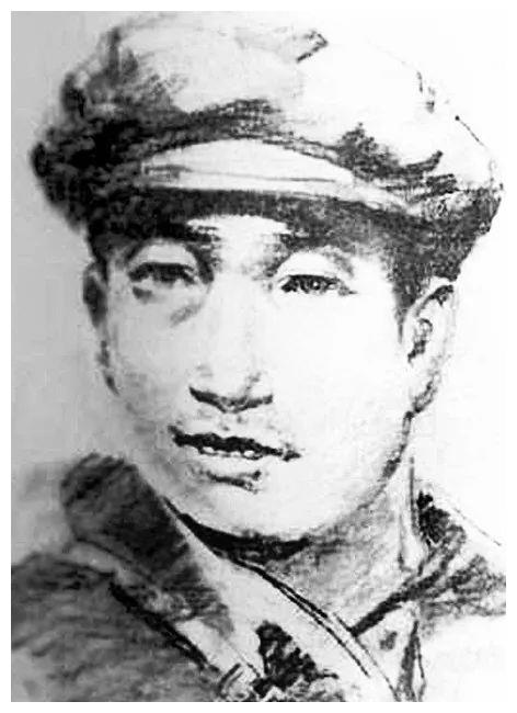 这个军,军政委是中将,副军长是上将,为何军长解放后当了农民?