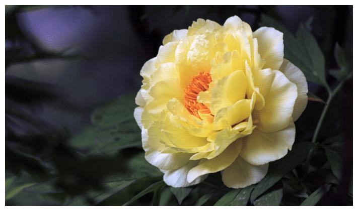 10月1休闲区蓝鸢梦想 - Www.slyday.coM 10月1休闲区蓝鸢梦想 - Www.slyday.coM