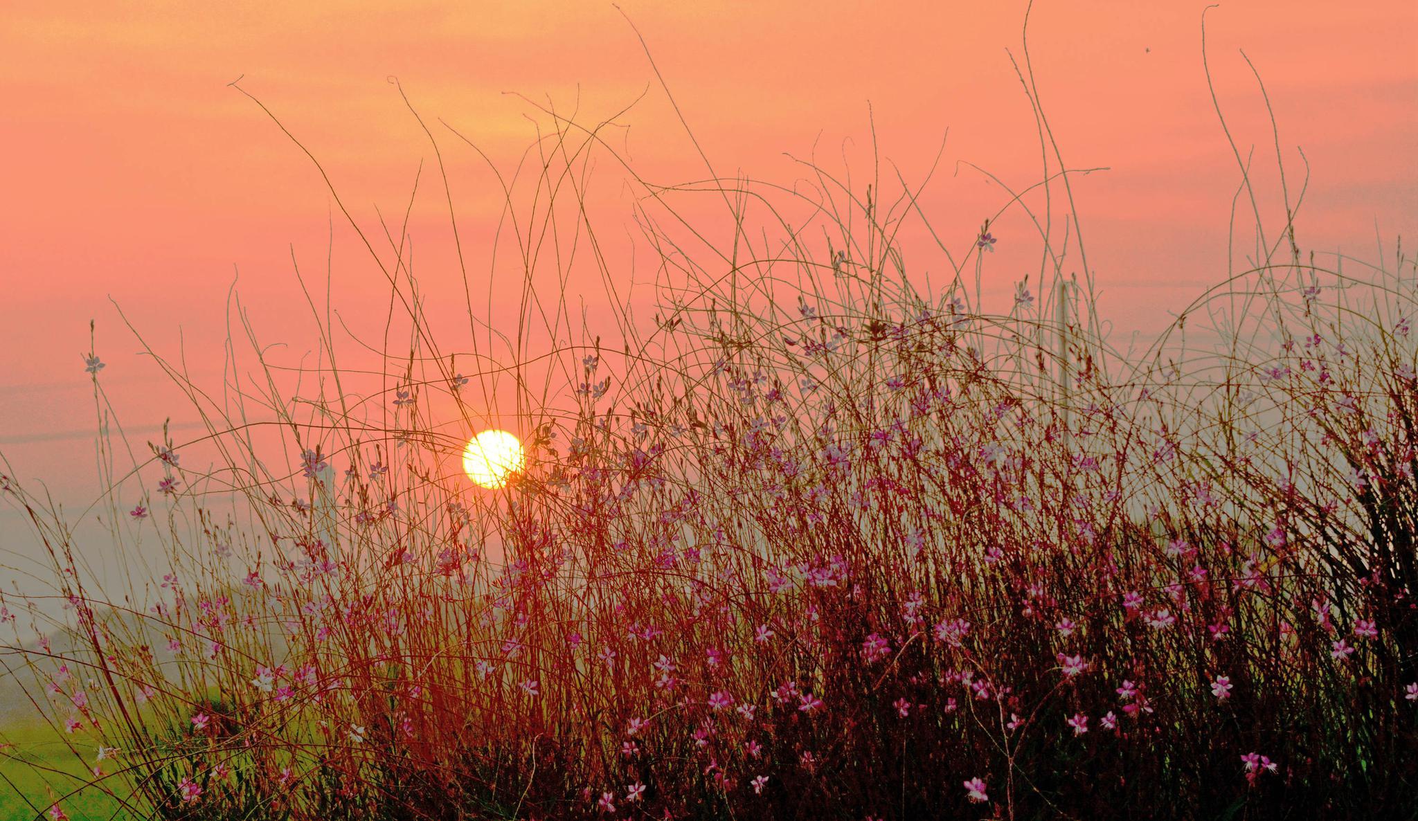 朝霞,日出,山村,田野,美丽的乡村早晨,江苏无锡斗山.