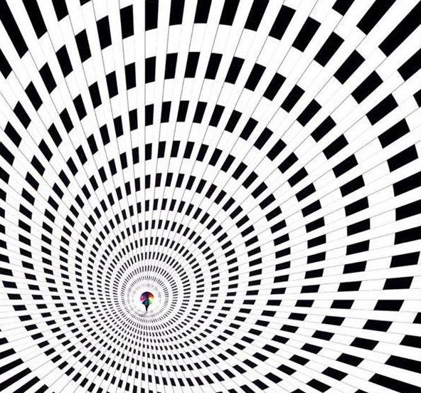 研究表明,蚂蚁也许不是二维生物?空间叠加还有很多事我们不明了