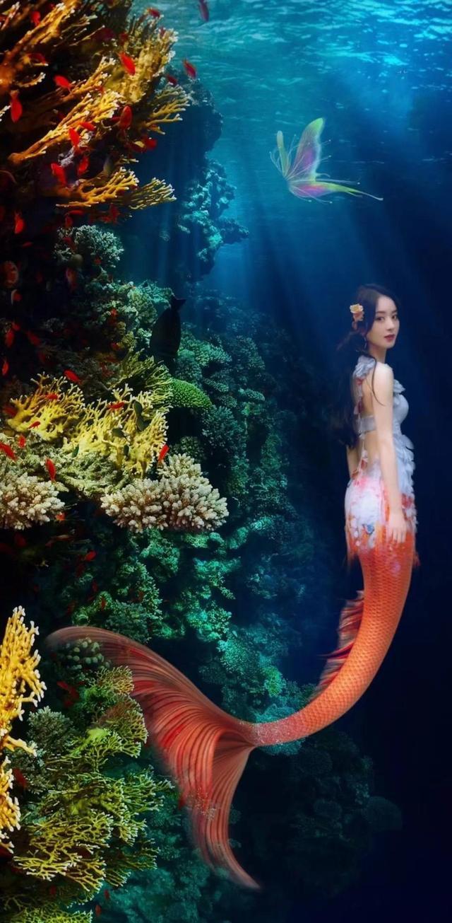 赵丽颖化身美人鱼每条人鱼都绝美想放家里养起来你要不要养