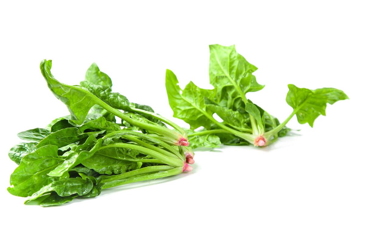 无论洗什么大叶子菜切忌冲冲就切牢记3个步骤蔬菜干净新鲜