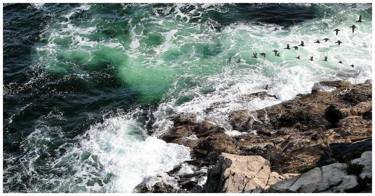 分手后就不能回头的星座,劝你死心休闲区蓝鸢梦想 - Www.slyday.coM 分手后就不能回头的星座,劝你死心休闲区蓝鸢梦想 - Www.slyday.coM