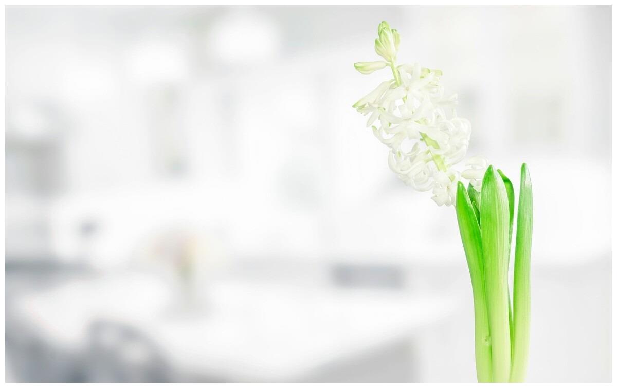 爱时说过的话，只有还爱才作数，与巨蟹座之间，始末关系有点复杂休闲区蓝鸢梦想 - Www.slyday.coM