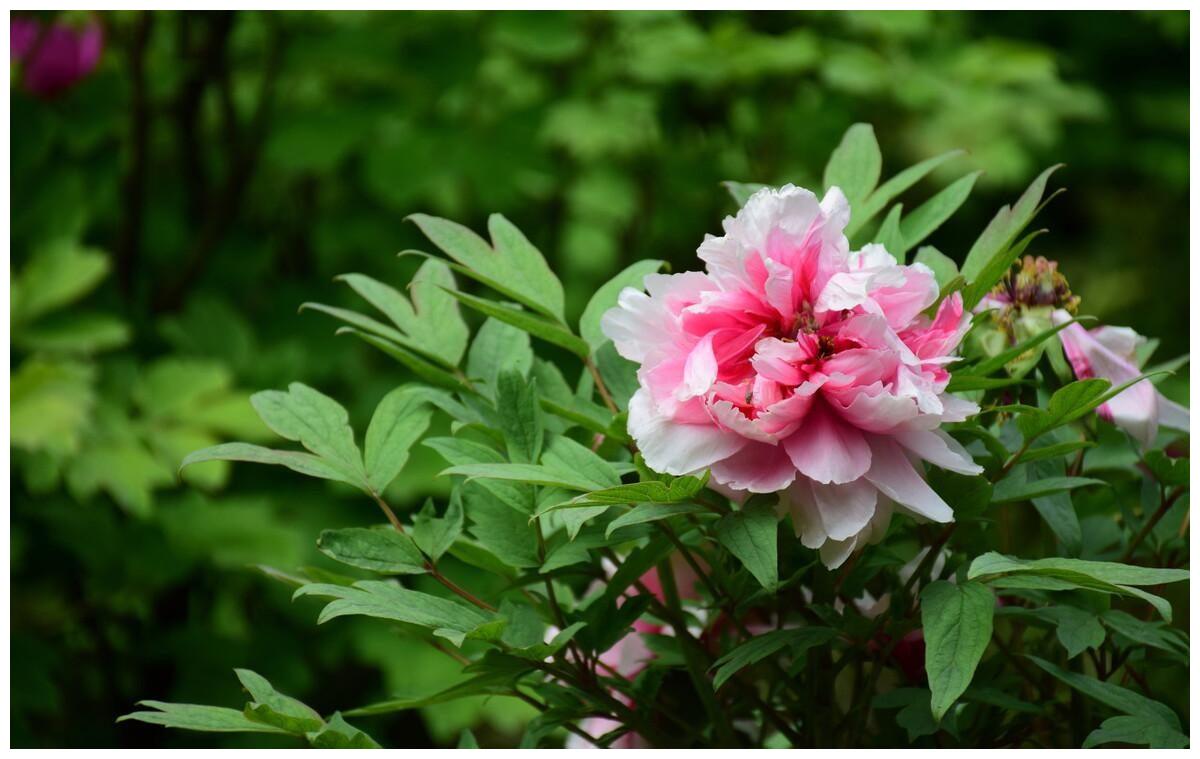让男人魂牵梦萦的三大星座女 星座 天蝎 双鱼 新浪新闻 让男人魂牵梦萦的三大星座女 星座 天蝎 双鱼 新浪新闻