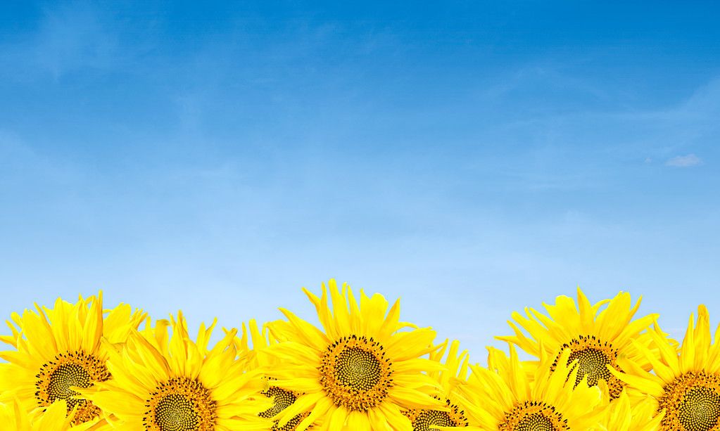 清凉简约夏日壁纸~_高清图集_新浪网