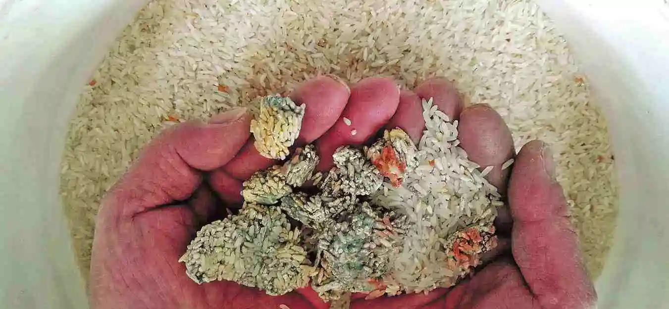 听说豆腐乳含有黄曲霉素吃了会危害肝脏你需要注意的是这3点