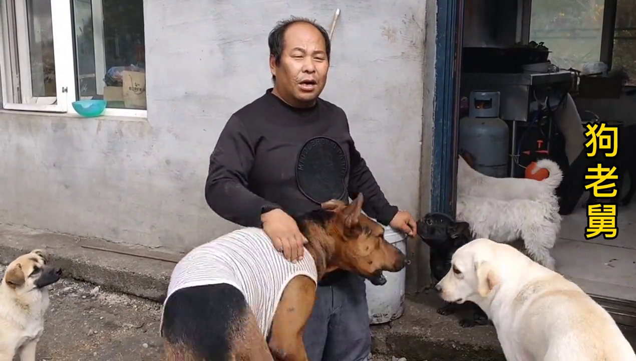 把狗狗和鸡肉单独留在房间,她会偷吃吗?