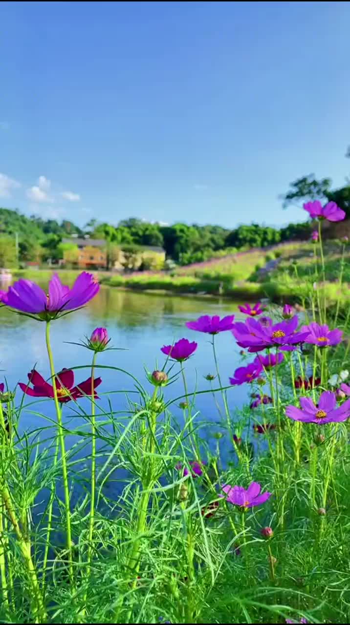喜欢这样的景色温馨浪漫去感受这份宁静简单又美好