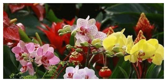 “直性子”的三生肖女,说话不会拐弯抹角容易得罪人,心却很好休闲区蓝鸢梦想 - Www.slyday.coM “直性子”的三生肖女,说话不会拐弯抹角容易得罪人,心却很好休闲区蓝鸢梦想 - Www.slyday.coM