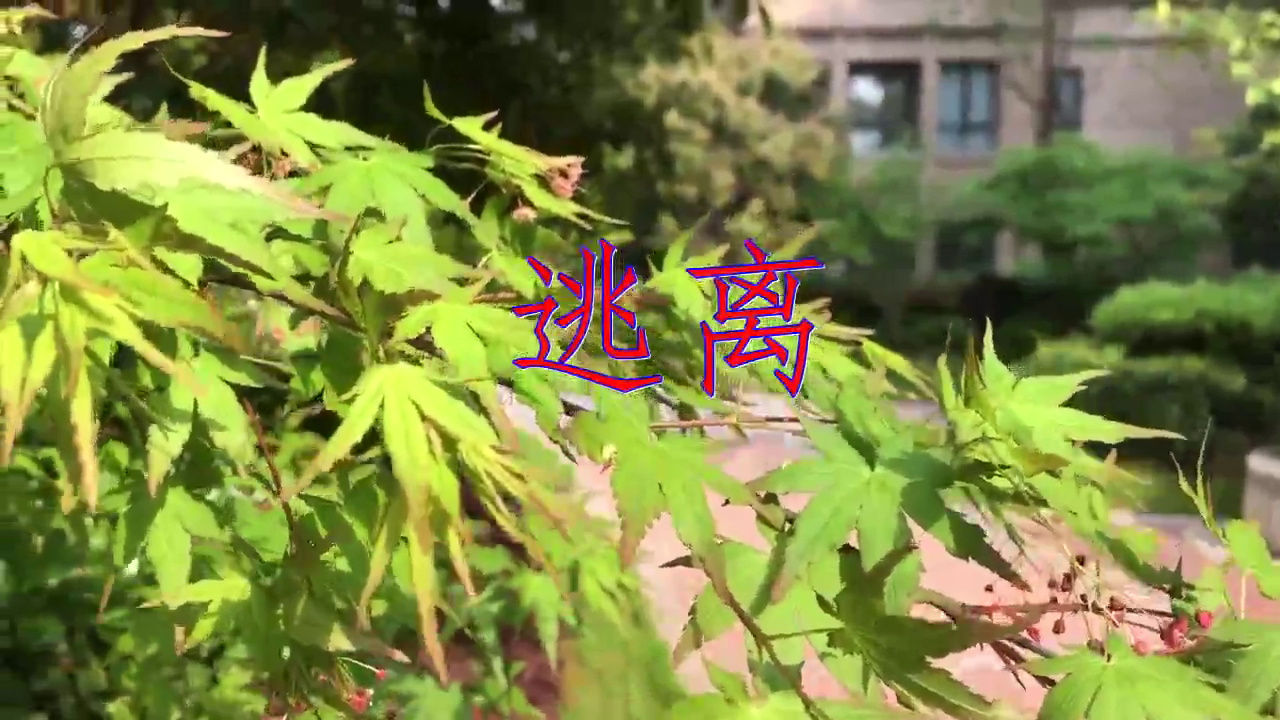 dj何鹏,王梓宏的一首《逃离》,唯美动听,唱功了不得