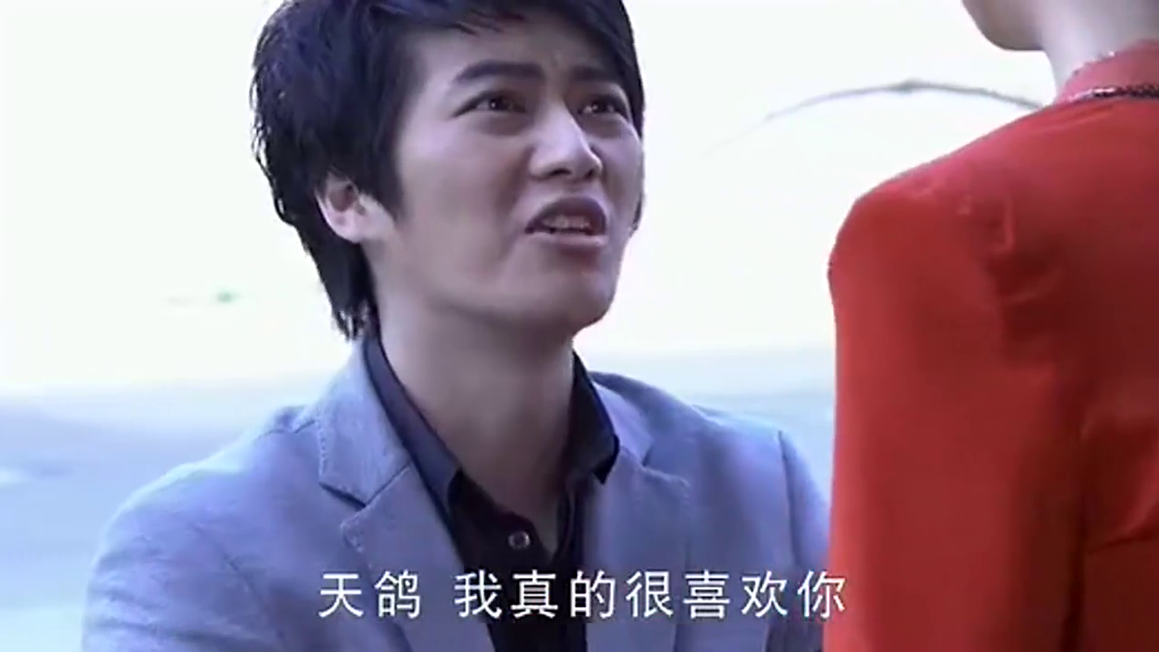 执迷不悔的杨光,还是想求天鸽回头,可天鸽早已看不上他了