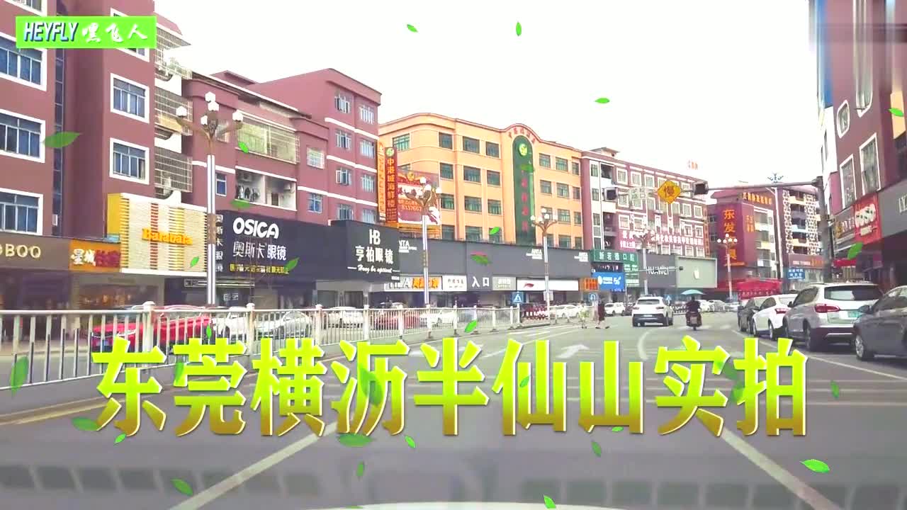 东莞横沥半仙山公园的真人真事,大家都还记得吗