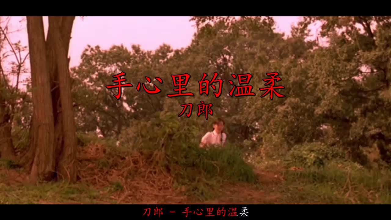 刀郎一首《手心里的温柔》沧桑伤感的歌声,唱哭多少有故事的人!
