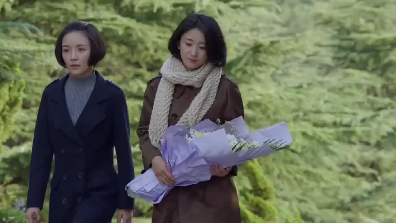 外交风云:凌玥去祭拜亡夫,何子枫把放在心底里多年的话说了出来