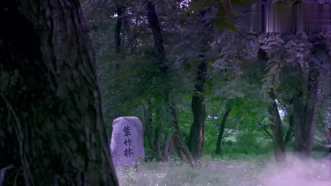 四喜来到紫竹林找菩萨救命,怎料他却遇见一个小孩!