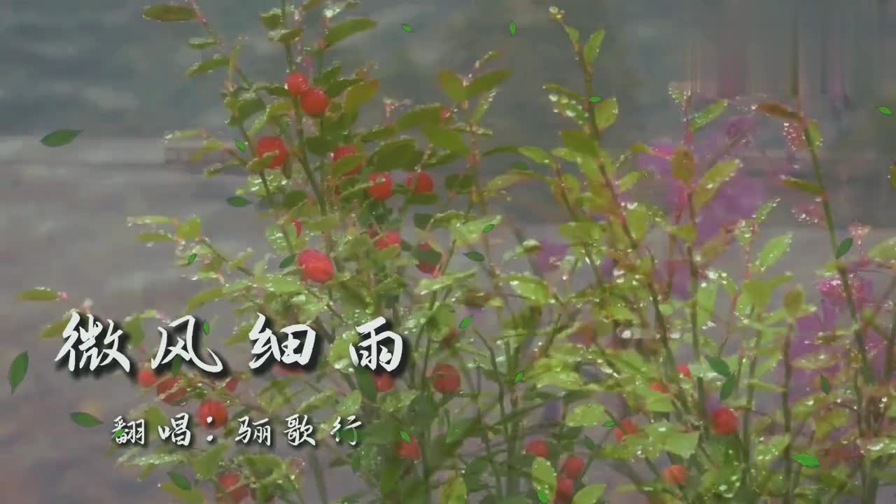 邓丽君年经典《微风细雨》,柔美细腻的歌声,令人难忘!