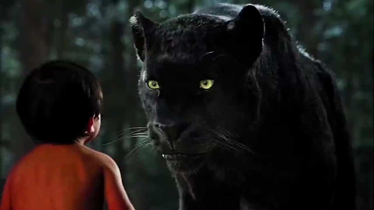 男孩被黑豹养大,单挑能战胜老虎!