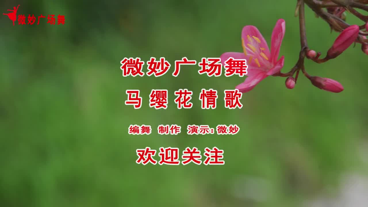 广场舞《马缨花情歌》原创简单好看步子舞附分解教学