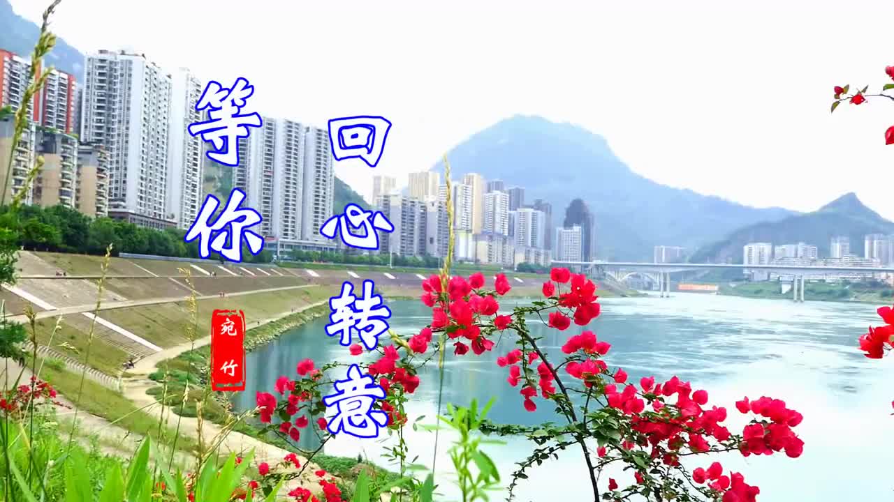 一首情歌《等你回心转意》句句伤感,声声催泪,听哭多少有情人!