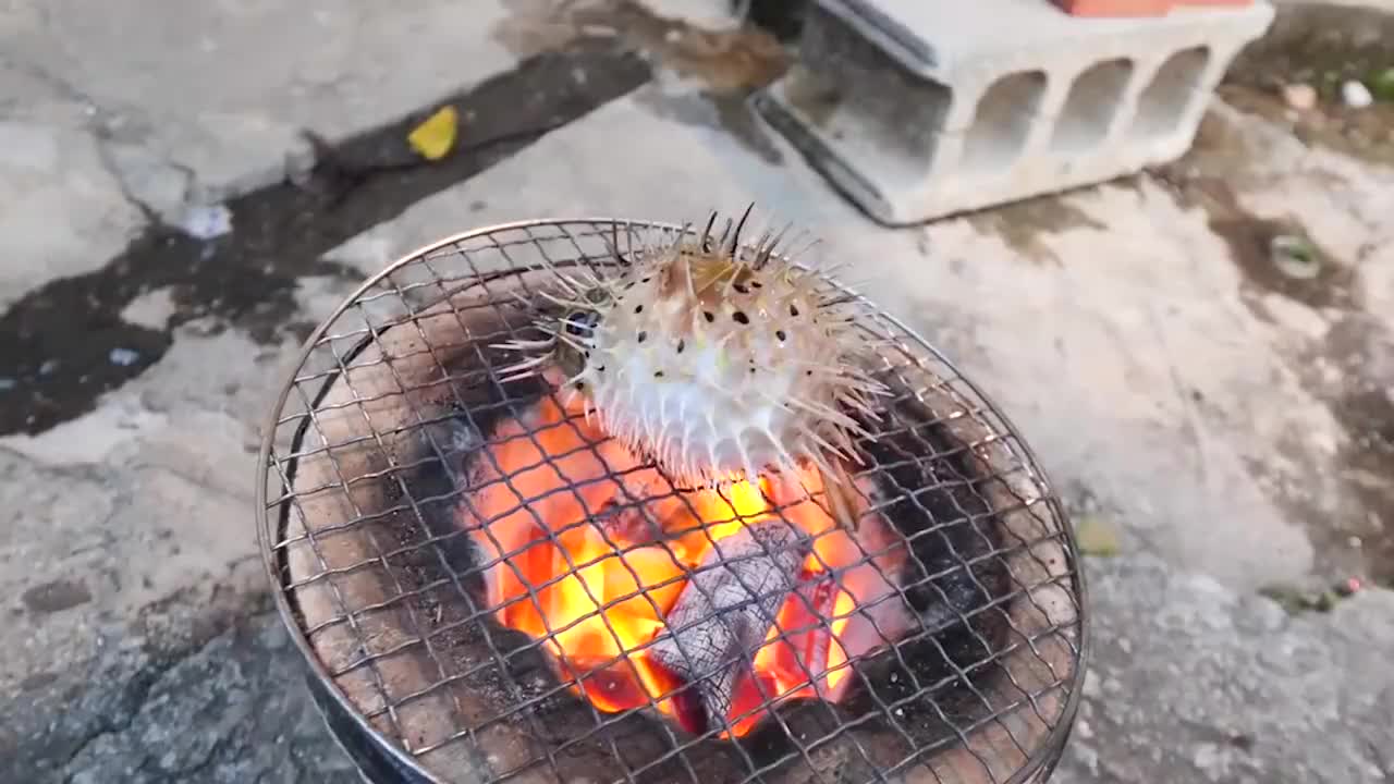 小伙烤河豚,活河豚直接扔在火炉上,网友:需要帮忙叫救护车吗?