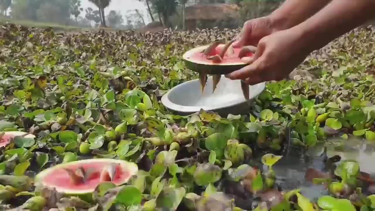 小哥钓鱼不用鱼竿,全局只靠一块西瓜,就能收获满满!