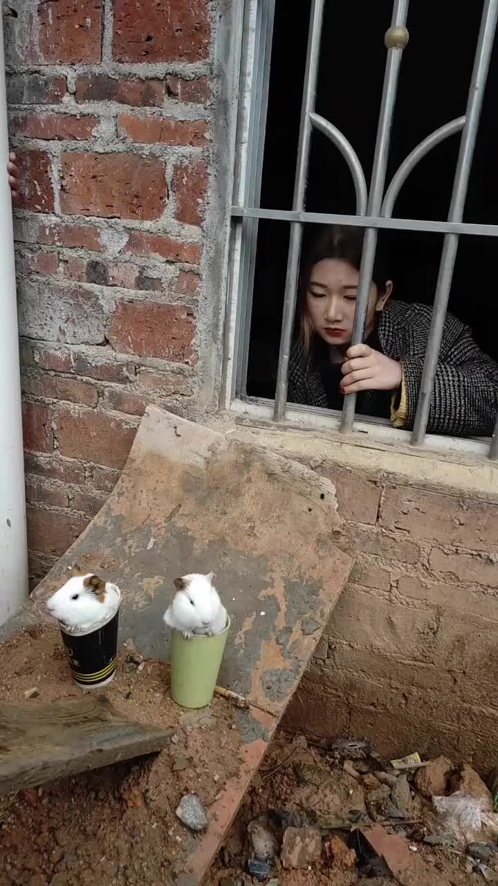 这是我们村地主家的傻女儿这智商也是没谁了