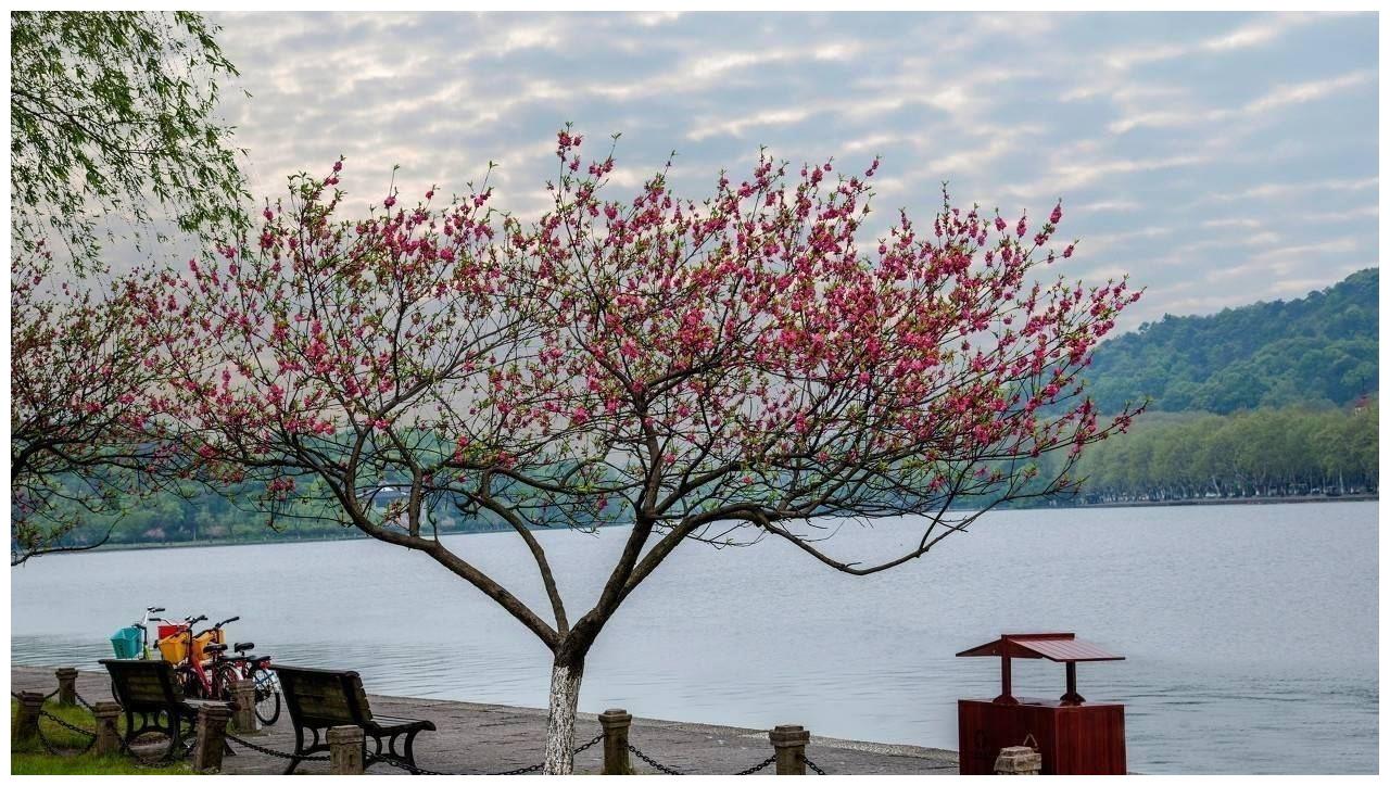 城府极深，喜欢算计别人，最不能惹的三大星座！休闲区蓝鸢梦想 - Www.slyday.coM