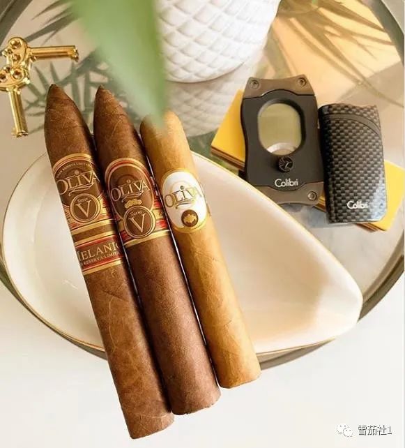 品吸雪茄走过的弯路和吸食教训 资深雪茄客现身说法|雪茄|烟灰|香烟