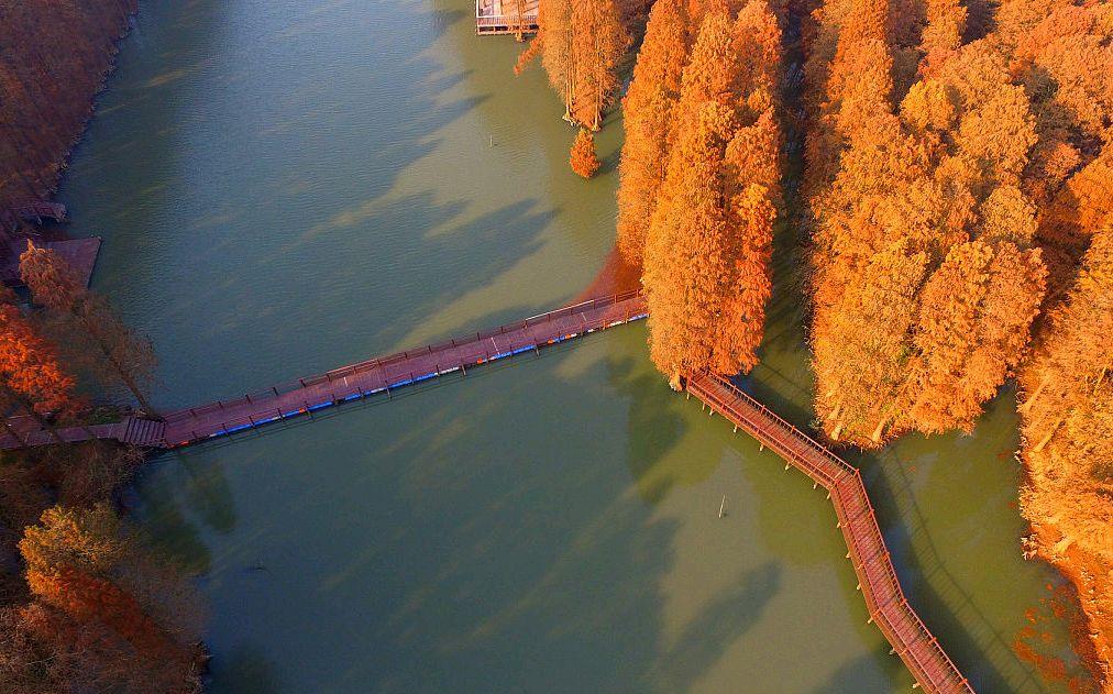 邳州微信附近的人怎么看是不是卖的