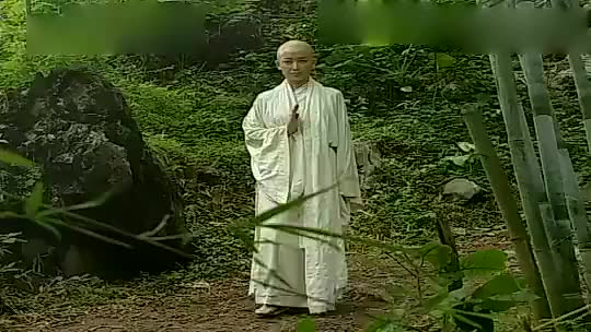 段延庆再识化功大法功力损耗抽身而去 为您推荐: 倩女幽魂:小和尚为了