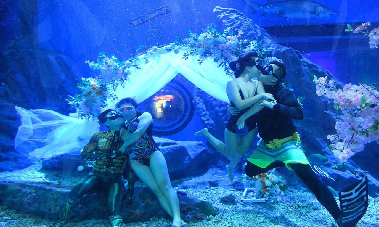一年一度七夕佳节,武汉海昌极地海洋公园特别推出,"海底接吻大赛"水中