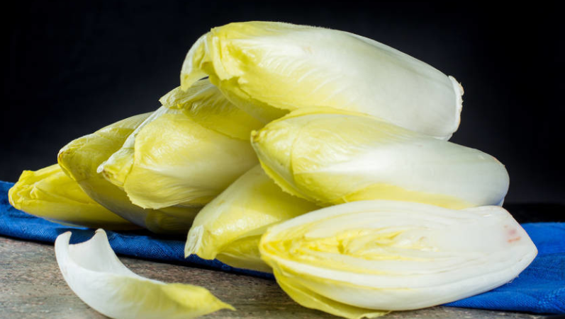 无公害芽球菊苣高产栽培技术 加强田间管理 促进菊苣的优质增收