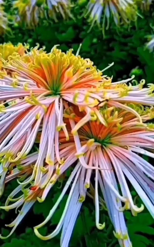 你，若过得好，无论我怎么想念你，我都会管住自己、不再去打扰你休闲区蓝鸢梦想 - Www.slyday.coM