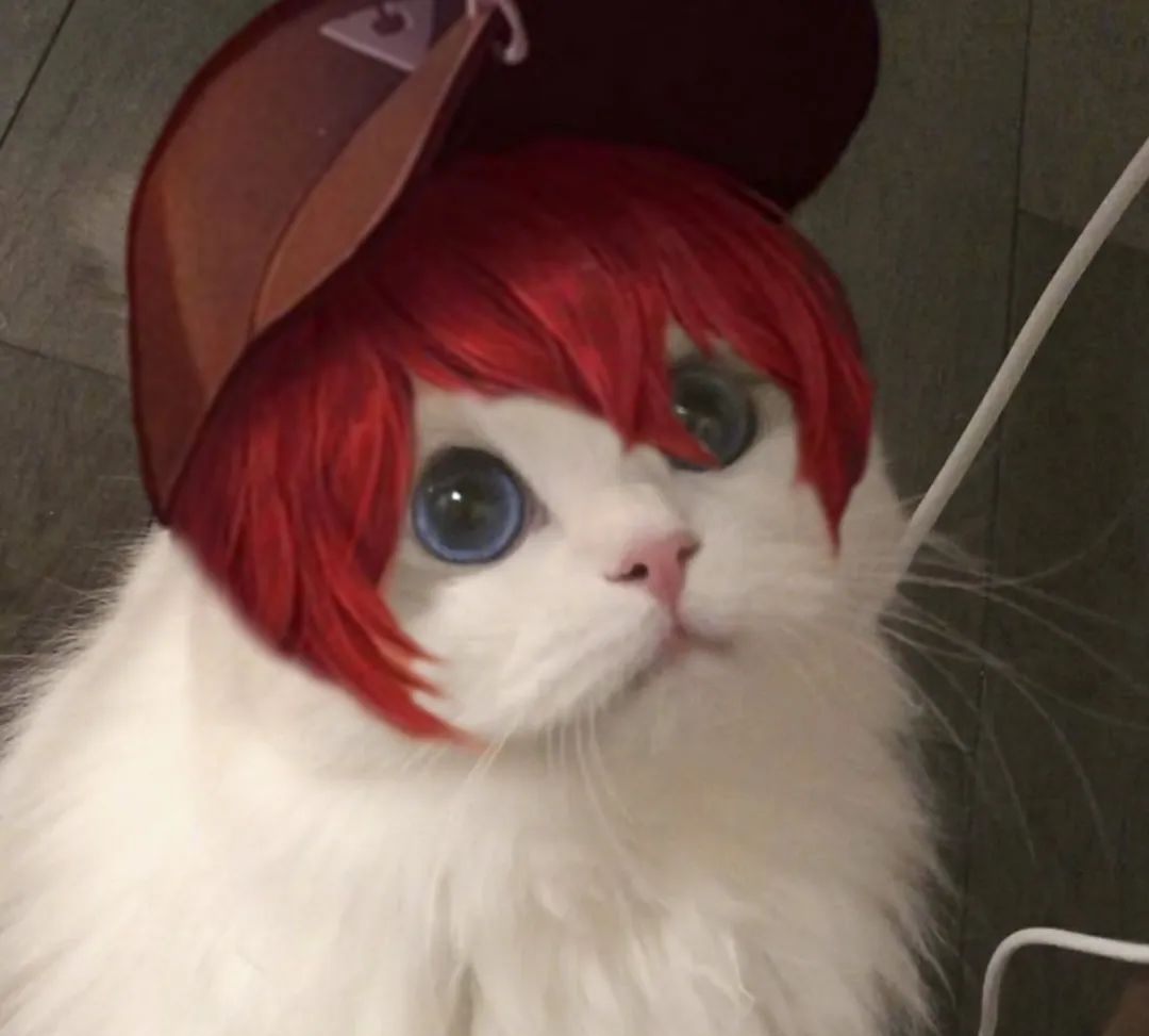 最近很火的王者荣耀猫头表情包大家看看哦(第五期)