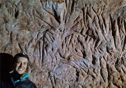 巴西发现一条13000年前的地道,长达600米,专家:这不是人建造的休闲区蓝鸢梦想 - Www.slyday.coM 巴西发现一条13000年前的地道,长达600米,专家:这不是人建造的休闲区蓝鸢梦想 - Www.slyday.coM