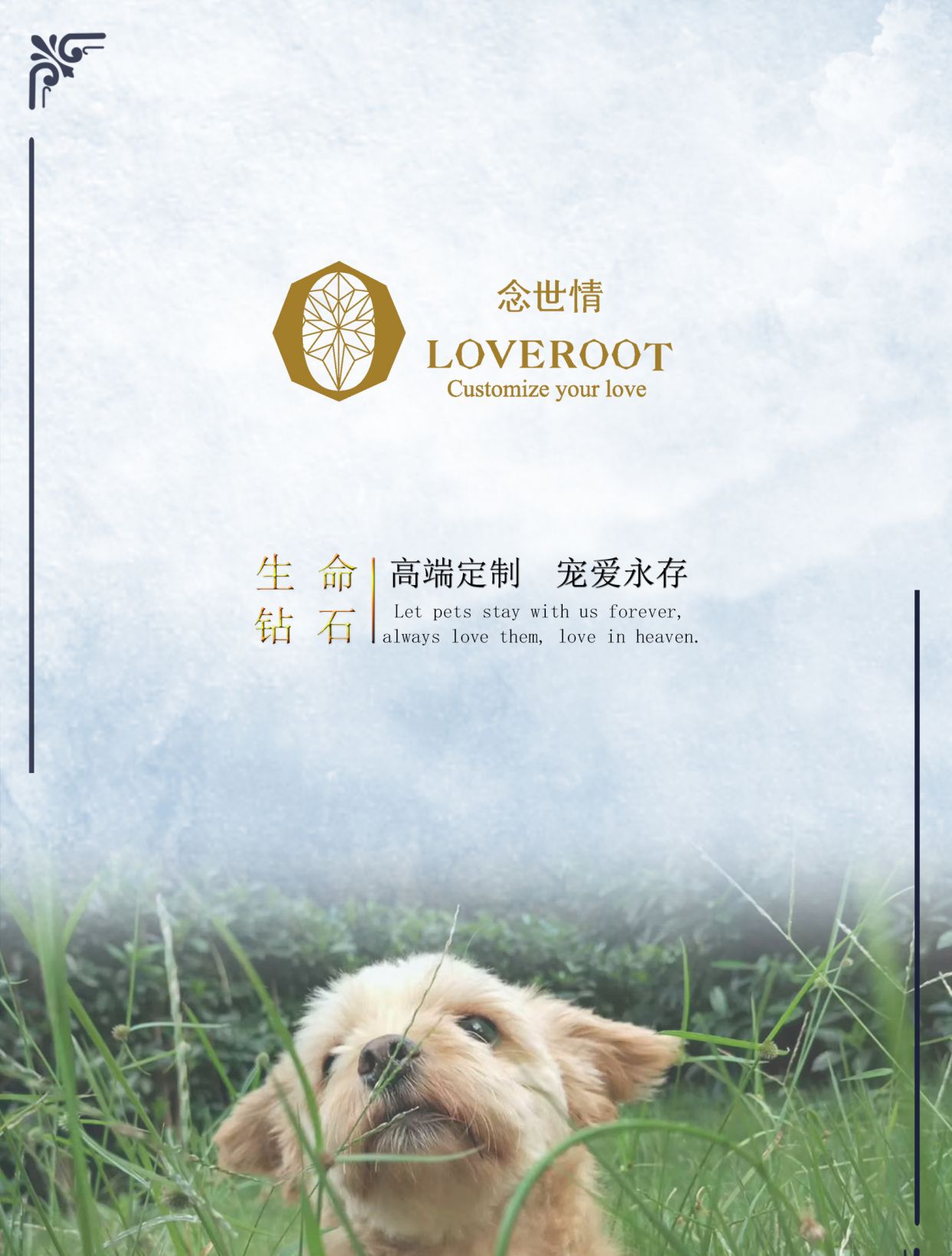 念世情宠物骨灰纪念钻石(图)_高清图集_新浪网