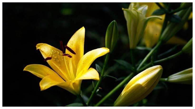 一周后,有望结缘真爱,收获爱情,事业蒸蒸日上,财源滚滚的星座休闲区蓝鸢梦想 - Www.slyday.coM 一周后,有望结缘真爱,收获爱情,事业蒸蒸日上,财源滚滚的星座休闲区蓝鸢梦想 - Www.slyday.coM