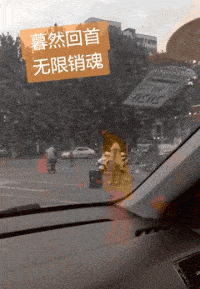 我问爸爸照片中站在他旁边的那位年轻叔叔是谁？他说那是你妈！休闲区蓝鸢梦想 - Www.slyday.coM