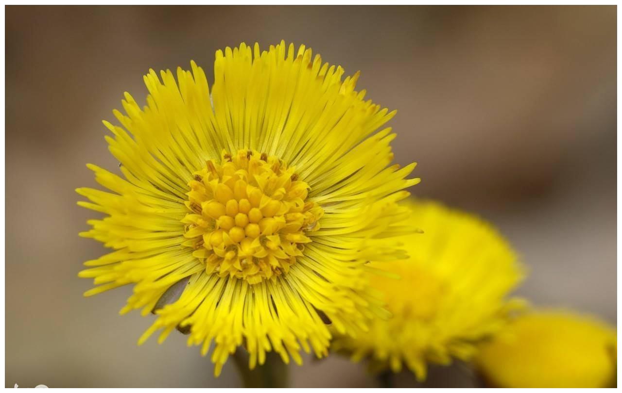 猪·马·羊这几个生肖是做啥啥顺利,干啥啥财旺,福气太好了休闲区蓝鸢梦想 - Www.slyday.coM 猪·马·羊这几个生肖是做啥啥顺利,干啥啥财旺,福气太好了休闲区蓝鸢梦想 - Www.slyday.coM